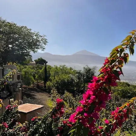 Cozy * Costa Adeje (Tenerife)
