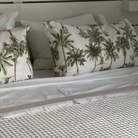 Cozy 阿德耶