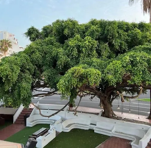 Cozy Apartment Costa Adeje (Tenerife)