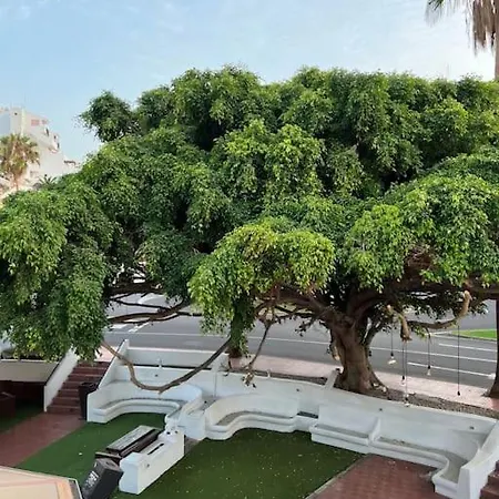 Cozy Appartement Costa Adeje (Tenerife)