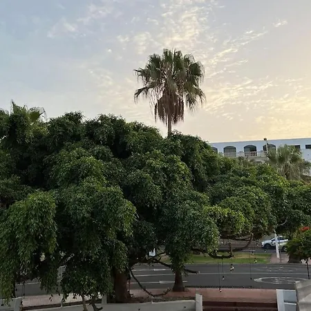 Cozy Διαμέρισμα Costa Adeje (Tenerife)